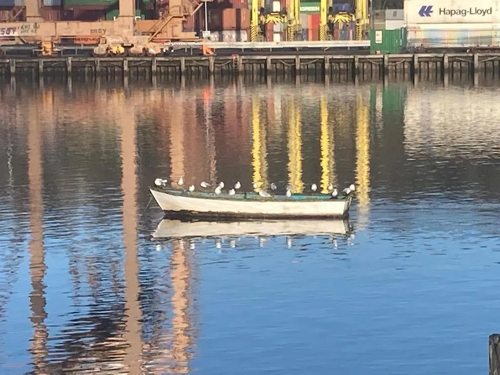 Blackrock Carole Ville Guesthouse 5*, Cork Ireland