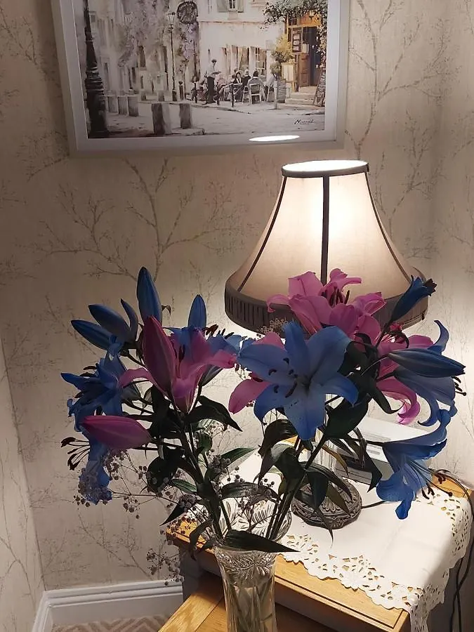 Bed & Breakfast Blackrock Carole Ville Guesthouse
