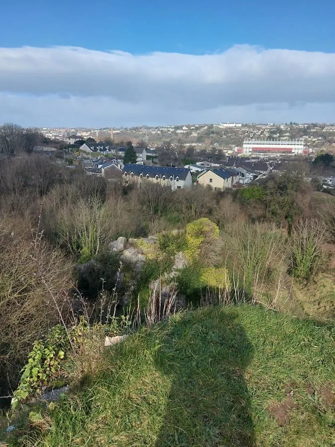 Blackrock Carole Ville Guesthouse Cork Oda ve Kahvaltı